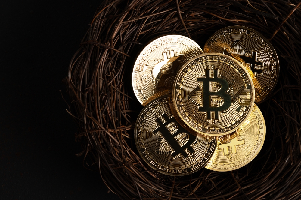 Minimal,Investing,Concept.,Easter,Gold,Bitcoin,Coins,In,Nest,On 